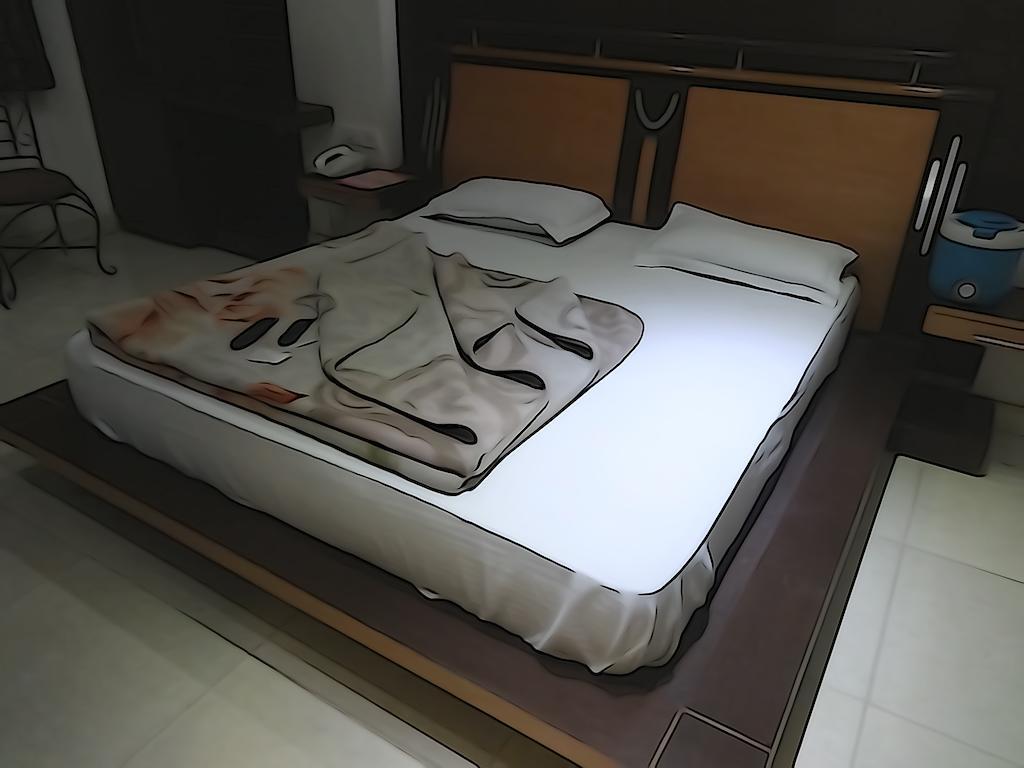 Adb Rooms Hotel Indo Continental นิวเดลี ภายนอก รูปภาพ